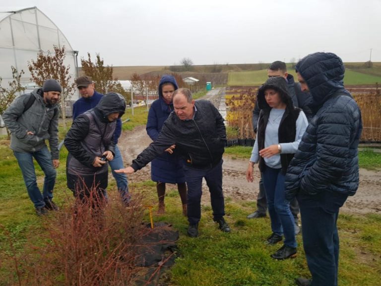 Delegacja z Rosji na plantacji jagody kamczackiej