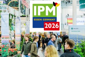 Vom 28. bis 31. Januar 2025 wird die Messe Essen zum Zentrum des internationalen Gartenbaus. Unter dem Motto „Unendlich grüne Vielfalt“ präsentiert die IPM ESSEN die gesamte Wertschöpfungskette der Branche. Und das zum mittlerweile 41. Mal. Mehr als 1.400 Aussteller aus rund 50 Ländern zeigen ihre neuesten Produkte, Dienstleistungen und Innovationen – von Pflanzen und Technik über Floristik bis hin zur Ausstattung. Foren, Kongresse, Wettbewerbe, Rundgänge, Live-Shows, Sonderschauen und weitere Side-Events rücken aktuelle Themen der grünen Branche in den Fokus, geben neue Inspiration für das kommende Geschäftsjahr und bieten zahlreiche Networking-Gelegenheiten.—-28-01-2025/Essen/GermanyFoto: Armin Huber/©MESSE ESSEN GmbH---Zulässige Nutzung: Der Nutzer erhält an dem Bild ein einfaches Nutzungsrecht, ausschließlich für eine redaktionelle, journalistische Berichterstattung – in Online- und Printmedien, Film und TV über die MESSE ESSEN, eine Veranstaltung der MESSE ESSEN oder eine auf dem Messegelände der MESSE ESSEN stattfindenden Veranstaltung. Die Nutzung des Bildmaterials ist für die berichtenden Medien mit Urhebervermerk und Beleg ist honorarfrei gestattet. Der Nutzer verpflichtet sich dazu, die dem Bild zugeordneten Informationen, insbesondere Bildbeschreibung und Fotograf, bei der Nutzung in korrekter Weise zu verwenden und zu veröffentlichen. Jede andere Nutzung bedarf der Zustimmung durch die Messe Essen GmbH. Die Messe Essen haftet nicht für Verletzung von Rechten abgebildeter Personen und/oder Objekten. Es werden durch die Messe Essen keine Persönlichkeits-, Eigentums-, Kunst-, Marken- oder ähnliche Rechte eingeräumt, die Einholung der o.g. Rechte obliegt allein dem Nutzer. Der Verkauf und die Weitergabe der Bilddatei an Dritte sowie das nicht-autorisierte Kopieren oder sonstige Vervielfältigen dieser Bilddatei auf alle Arten von Datenträgern ist nicht gestattet. ---Permissible use: The user will be granted free of c
