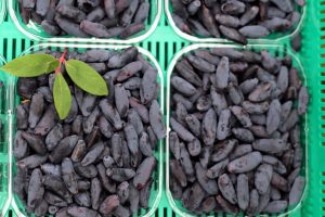 podsumowanie zbiorów